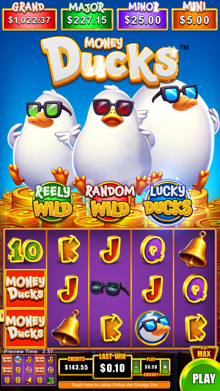 Money Ducks 5x3 screenshot